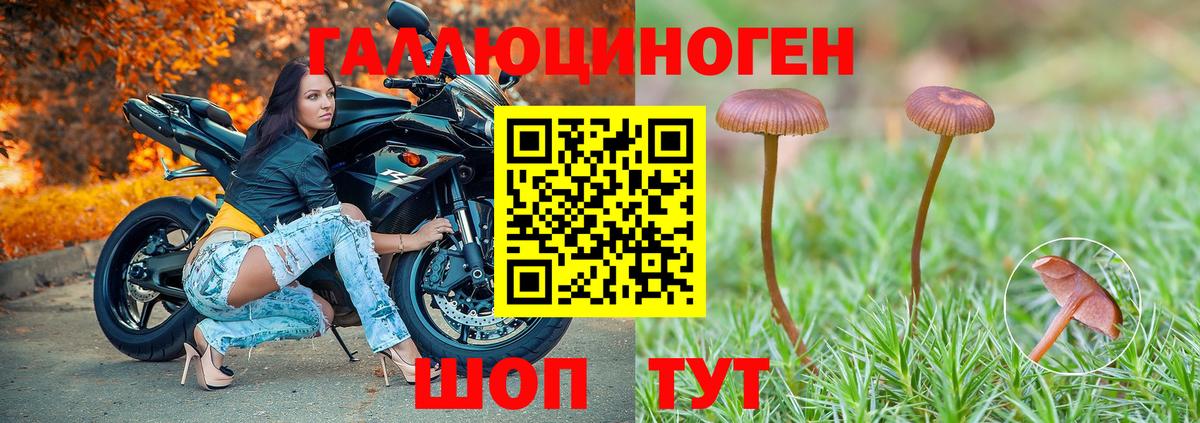 Ногинск  Галлюциногенные грибы Psilocybine cubensis  Вход с VPN  Псилоцибиновые грибы Magic Shrooms 